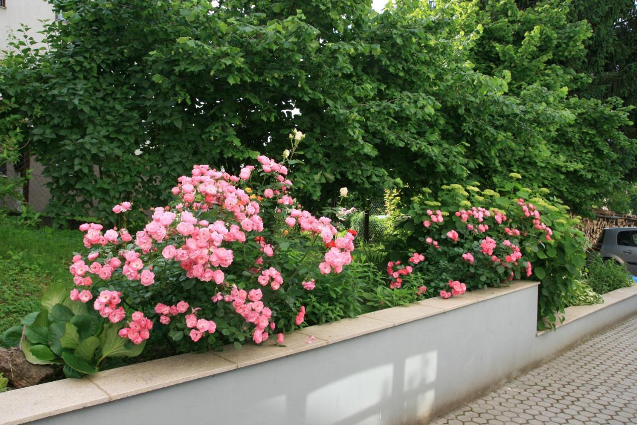 Apartment Magnolija - Free Parking Karlovac Exterior photo